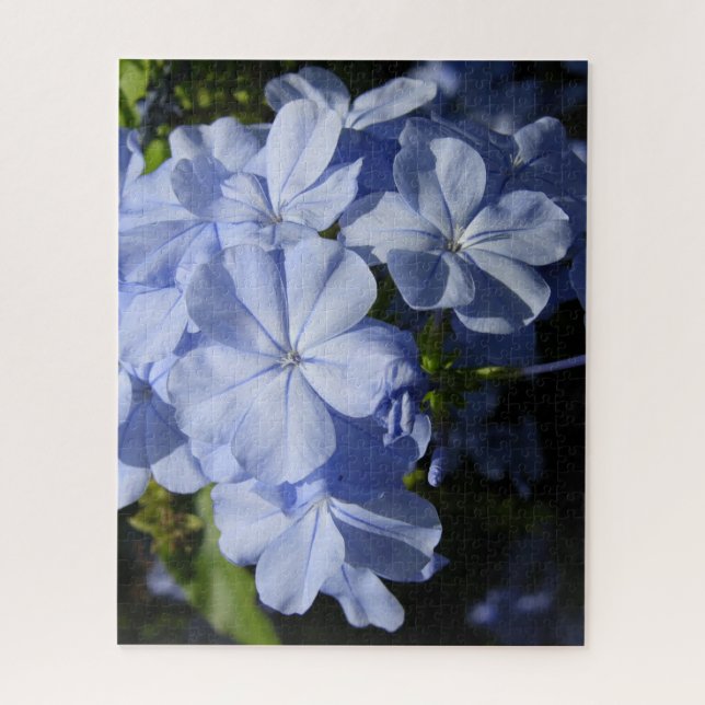 Puzzle Flor de Plumbago Azul de Hawái (Vertical)