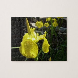 Puzzle Flor de primavera brillante amarilla en irlandeses