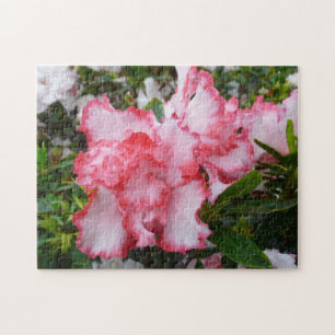 Puzzle Flor de primavera de Azaleas doble roja y blanca