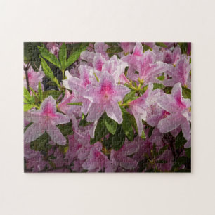 Puzzle Flor de primavera rosada de Azalea Bush
