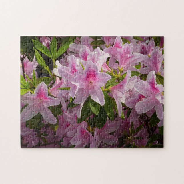 Puzzle Flor de primavera rosada de Azalea Bush (Horizontal)