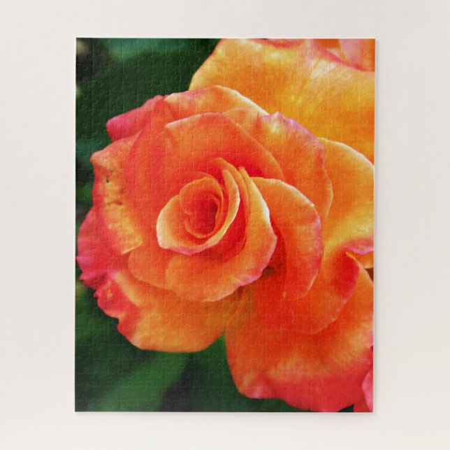 Puzzle Flor de rosa naranja (Vertical)
