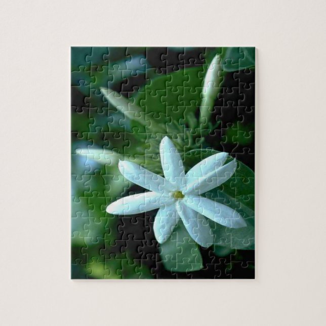 Puzzle Flor de Stephanotis blanca bonito (Vertical)