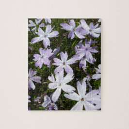 Puzzle Flor del Phlox