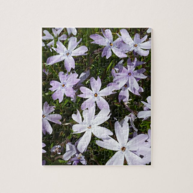 Puzzle Flor del Phlox (Vertical)