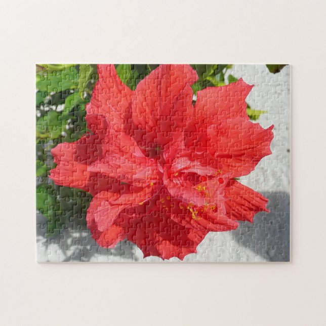 Puzzle Flor doble roja hibiscus (Horizontal)