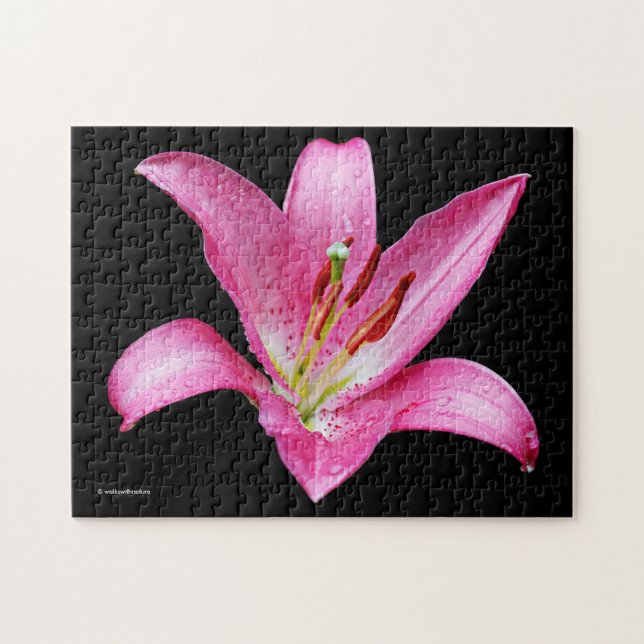 Puzzle Flor Elegante Lirio Oriental Rosa Lilium Stargazer (Horizontal)