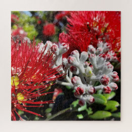 Puzzle Flor en flor roja de árbol pohutukawa de Nueva Zel