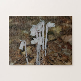 Puzzle Flor fantasma de tubo indio rosa