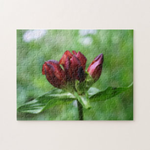 Puzzle Flor Gentiana Roja En Efecto Orton En Bloom