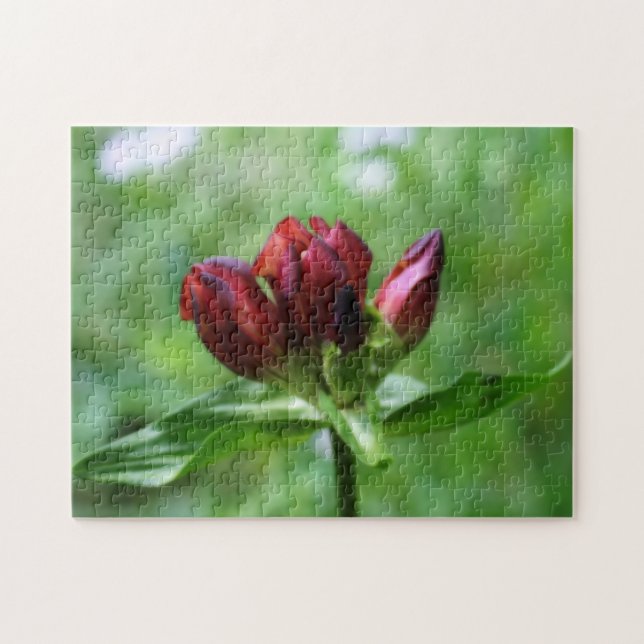 Puzzle Flor Gentiana Roja En Efecto Orton En Bloom (Horizontal)