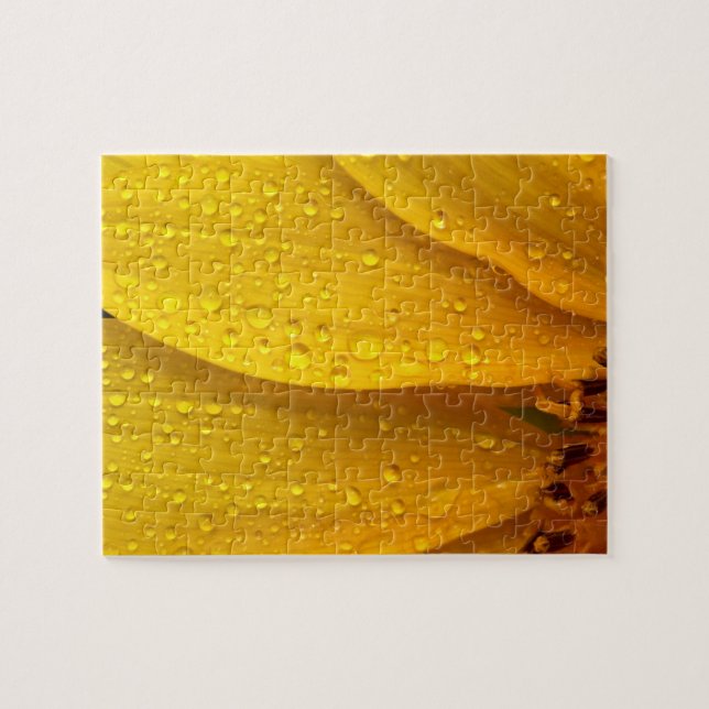 Puzzle Flor - Hace sol pero llueve (Horizontal)