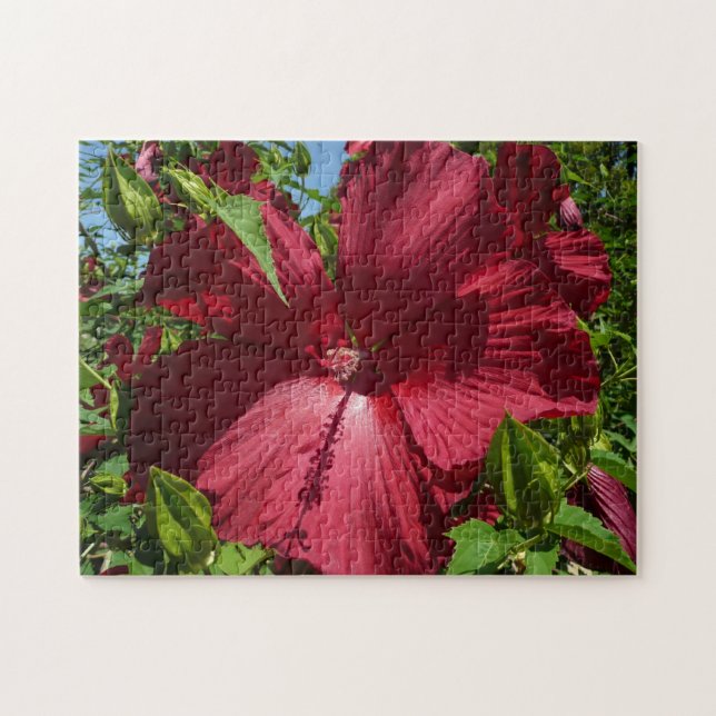 Puzzle Flor hibiscus y cielo azul (Horizontal)