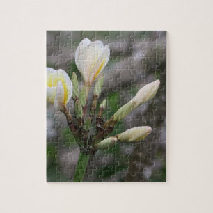 Puzzle flor, jardín, verano, naturaleza, buganvillas,