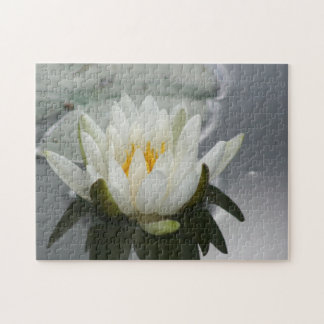 Puzzle Flor Lotus Blossom de Lily de Agua Blanca