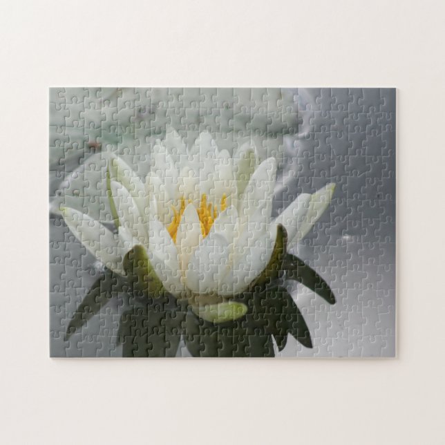 Puzzle Flor Lotus Blossom de Lily de Agua Blanca (Horizontal)