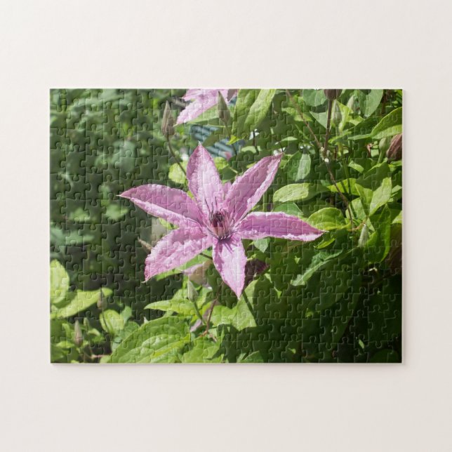 Puzzle Flor morada de estrella de seis lados (Horizontal)