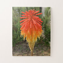 Flor naranja y amarilla
