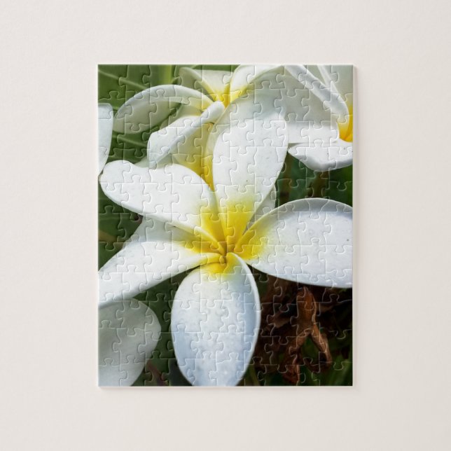 Puzzle Flor Plumeria de Hawái Blanca (Vertical)