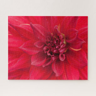 Puzzle Flor roja de Dahlia