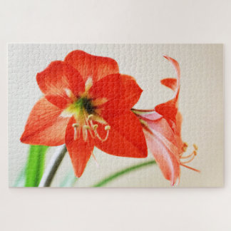 Puzzle Flor roja del Amaryllis