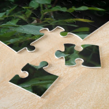 flor rosa bonito y blanco. Floral,