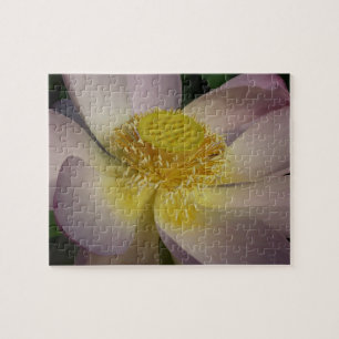 Puzzle Flor rosa de Lotus I flor de verano