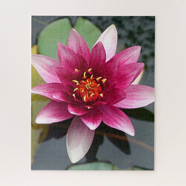 Puzzle Flor rosa Lotus (Vertical)