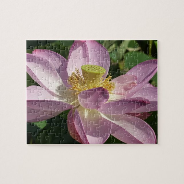 Puzzle Flor rosa Lotus II Flor de verano (Horizontal)