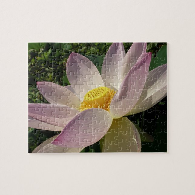 Puzzle Flor rosa Lotus III flor de verano (Horizontal)