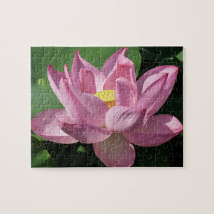 Puzzle Flor rosa Lotus IV