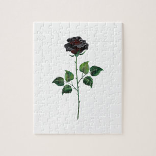 Puzzle Flor rosa negra