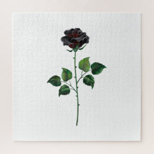 Puzzle Flor rosa negra