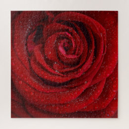 Puzzle Flor rosa roja