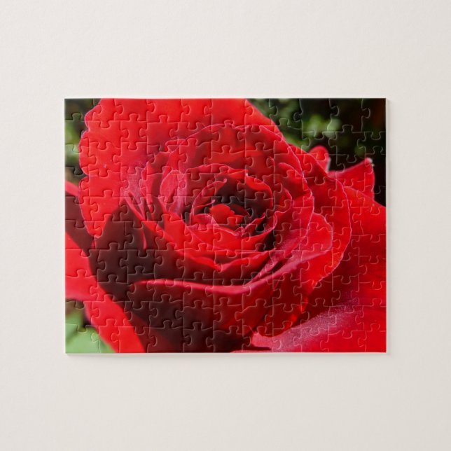 Puzzle Flor rosa roja brillante hermosa flor (Horizontal)