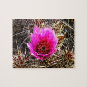 Puzzle Flor silvestre de Cactus floreciente