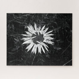 Puzzle Flor vieja