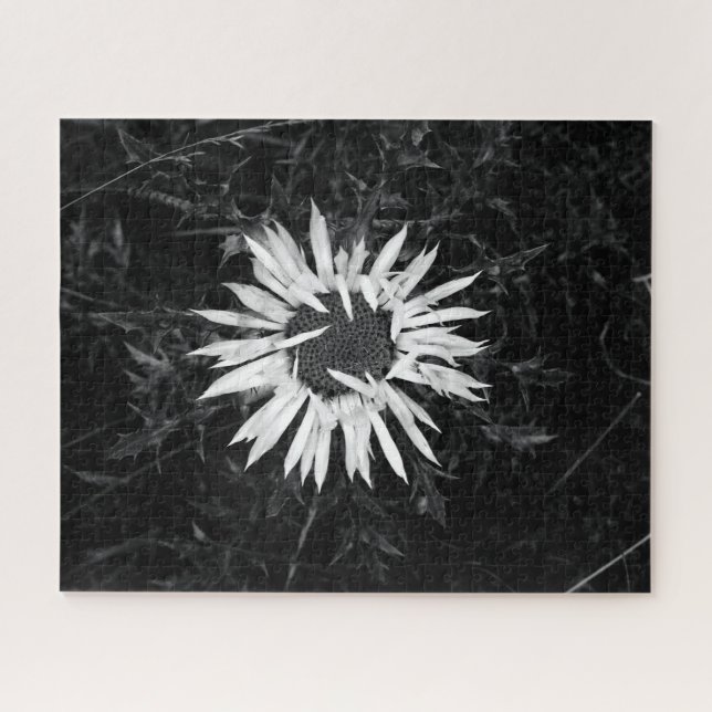 Puzzle Flor vieja (Horizontal)