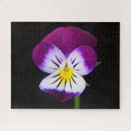 Puzzle Flor violeta 16x20 520pc jpcnm