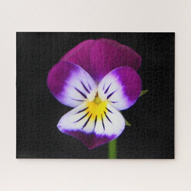 Puzzle Flor violeta 16x20 520pc jpcnm (Horizontal)