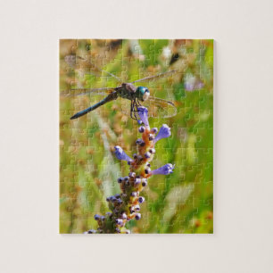 Puzzle Flora de lavanda