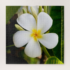 Puzzle Flora de Plumeria con hojas