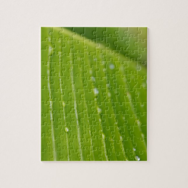 Puzzle Flora Dominica 2 (Vertical)