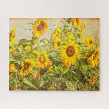 Floral amarilla vintage de campo de girasol