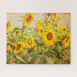 Puzzle Floral amarilla vintage de campo de girasol