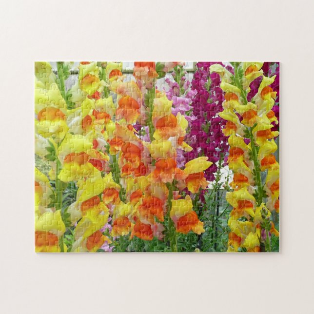 Puzzle Floral colorida de Snapdragons (Horizontal)