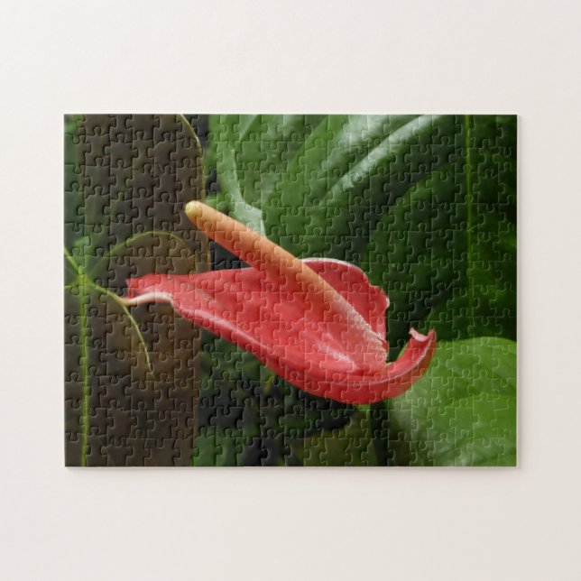 Puzzle Floral de Calla Rosa Lily Elegant (Horizontal)