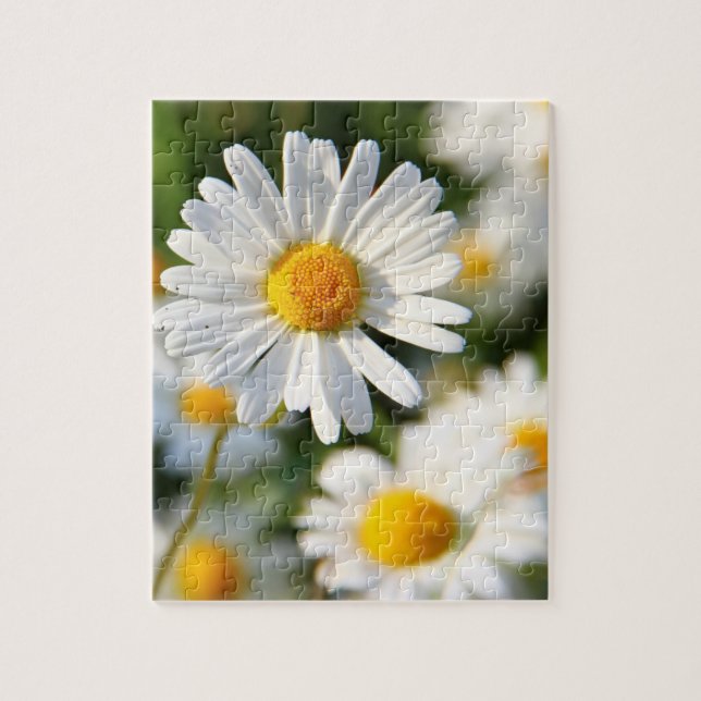 Puzzle Floral de margarita blanca (Vertical)