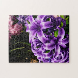 Puzzle Floral de primavera azul Hyacinin II