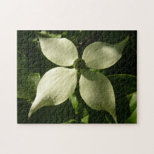 Puzzle Floral de primavera de Dogwood Blossom iluminada p